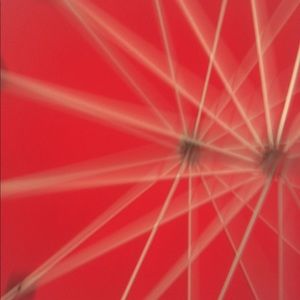 Meet your Posher, Corinne